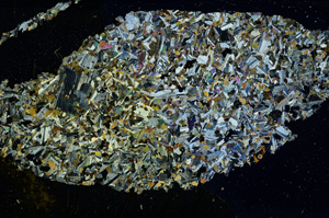 Cross Polarized, ED1601