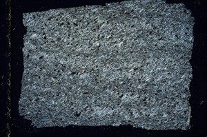 Cross Polarized, ED1619