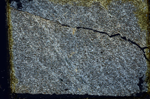 Cross Polarized, ED1621