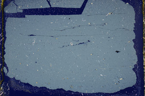 Cross Polarized, ED1629