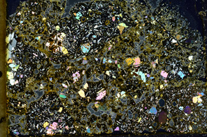 Cross Polarized, ED1631