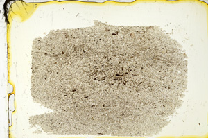 Plane Polarized, ED1637
