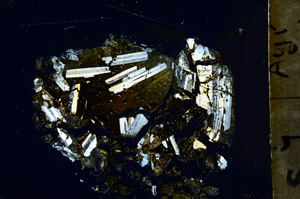 Cross Polarized, ED1651