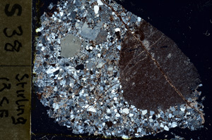 Cross Polarized, ED1664