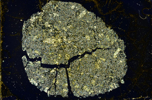 Cross Polarized, ED1673