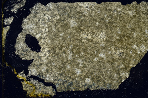 Cross Polarized, ED1674