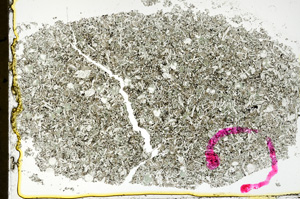 Plane Polarized, ED1679