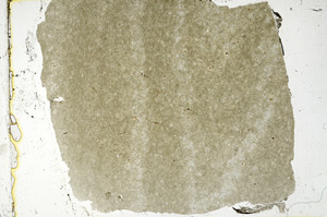 Plane Polarized, ED1725