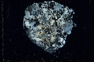 Cross Polarized, ED1735