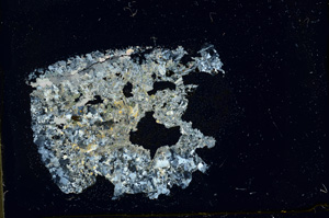 Cross Polarized, ED1755