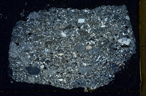 Cross Polarized, ED1769