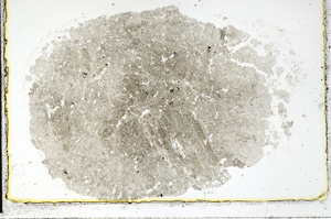 Plane Polarized, ED1845