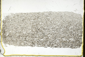 Plane Polarized, ED1864