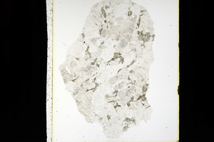 Plane Polarized, ED1889