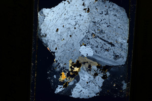 Cross Polarized, ED1901