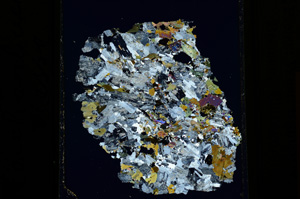 Cross Polarized, ED1921