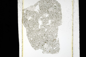 Plane Polarized, ED1990