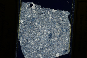 Cross Polarized, ED2095