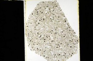 Plane Polarized, ED2144