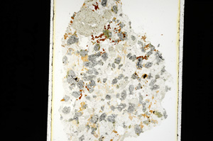 Plane Polarized, ED2148