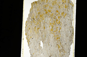 Plane Polarized, ED2149