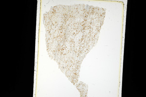 Plane Polarized, ED2150