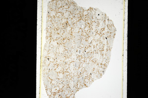 Plane Polarized, ED2151