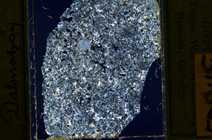 Cross Polarized, ED2168