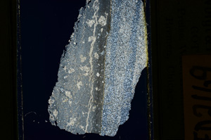 Cross Polarized, ED2169