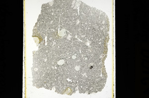 Plane Polarized, ED2199