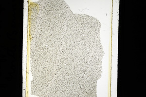 Plane Polarized, ED2212