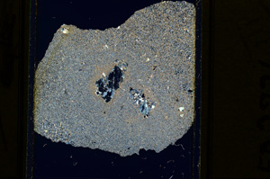 Cross Polarized, ED2226