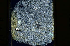 Cross Polarized, ED2231