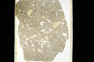 Plane Polarized, ED2243