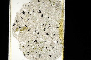 Plane Polarized, ED2251