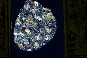 Cross Polarized, ED2261