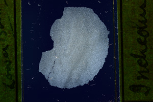 Cross Polarized, ED2271