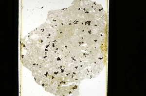 Plane Polarized, ED2274