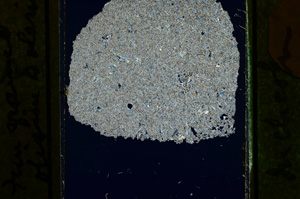 Cross Polarized, ED2278