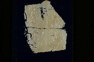 Cross Polarized, ED2293