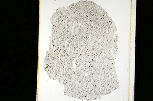 Plane Polarized, ED2345