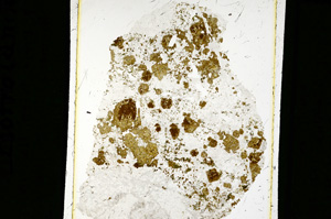 Plane Polarized, ED2357