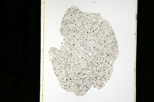 Plane Polarized, ED2369