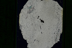 Cross Polarized, ED2377