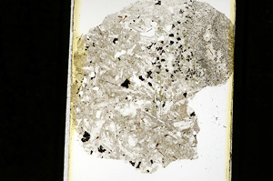 Plane Polarized, ED2398