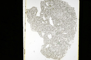 Plane Polarized, ED2412