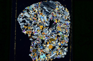 Cross Polarized, ED2431