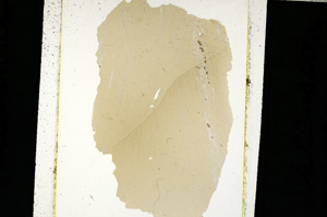 Plane Polarized, ED2435