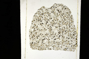 Plane Polarized, ED2440