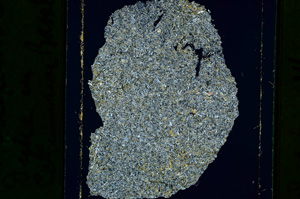 Cross Polarized, ED2441